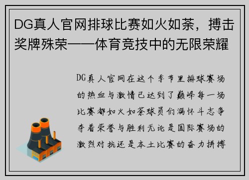 DG真人官网排球比赛如火如荼，搏击奖牌殊荣——体育竞技中的无限荣耀